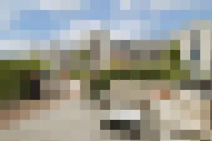 Texellaan 34 Gouda thumbnail 7