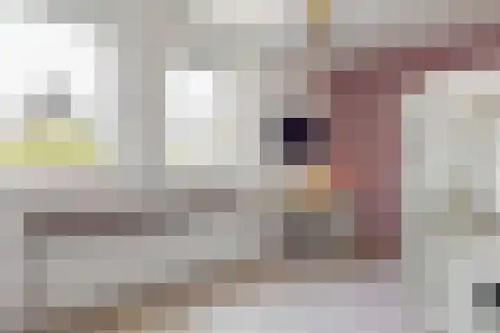 Texellaan 8 Gouda thumbnail 16