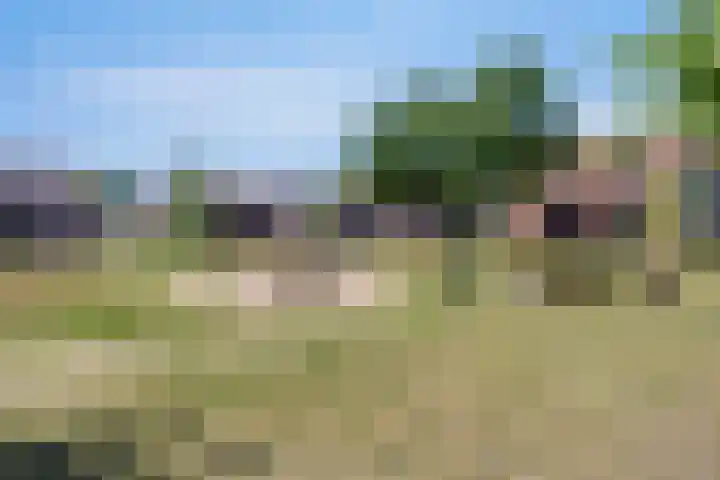 Texelstraat 4 Breda thumbnail 35