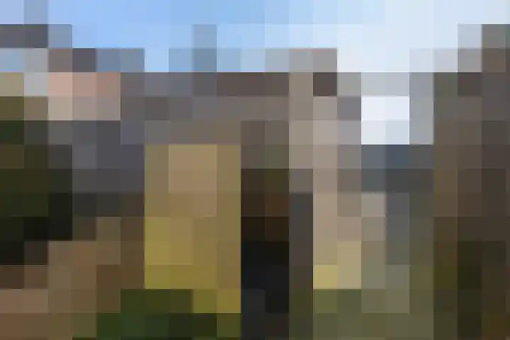 Texelstraat 4 Breda thumbnail 38