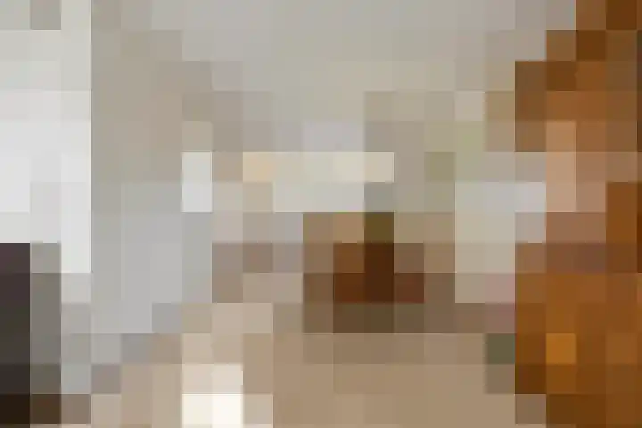 Texelstroom 33 Wieringerwerf thumbnail 11
