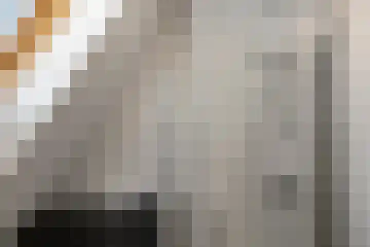 Texelstroom 33 Wieringerwerf thumbnail 22