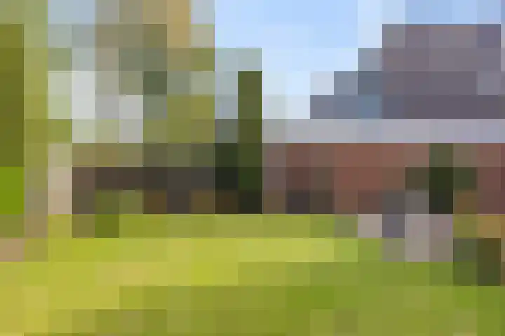 Texelstroom 33 Wieringerwerf thumbnail 24