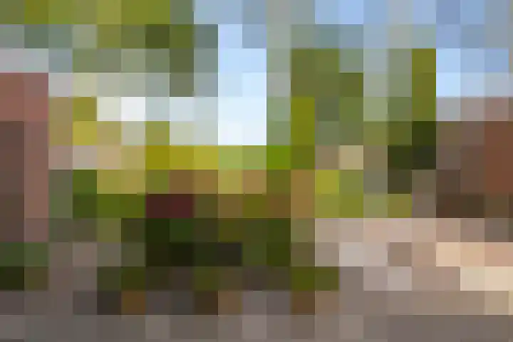 Texelstroom 33 Wieringerwerf thumbnail 25