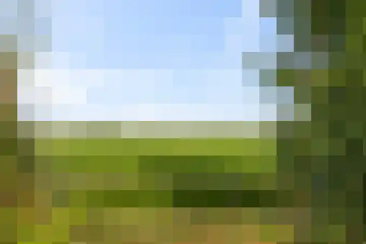 Texelstroom 33 Wieringerwerf thumbnail 27