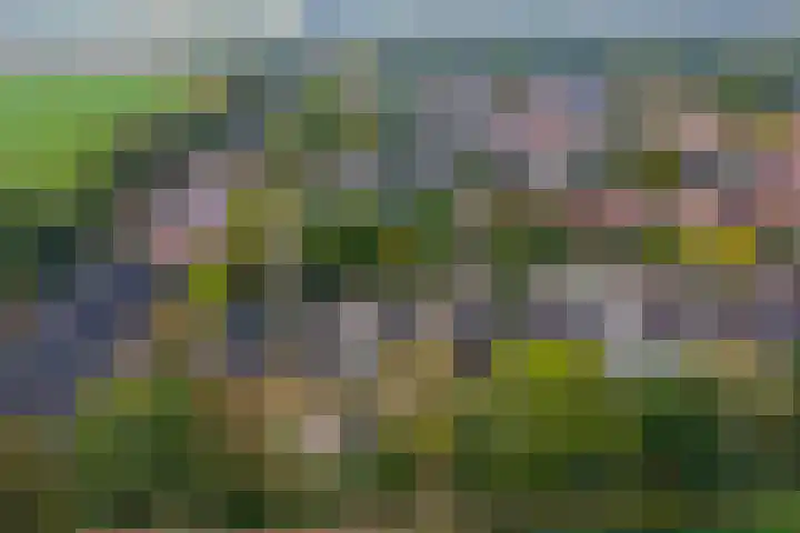 Texelstroom 33 Wieringerwerf thumbnail 29