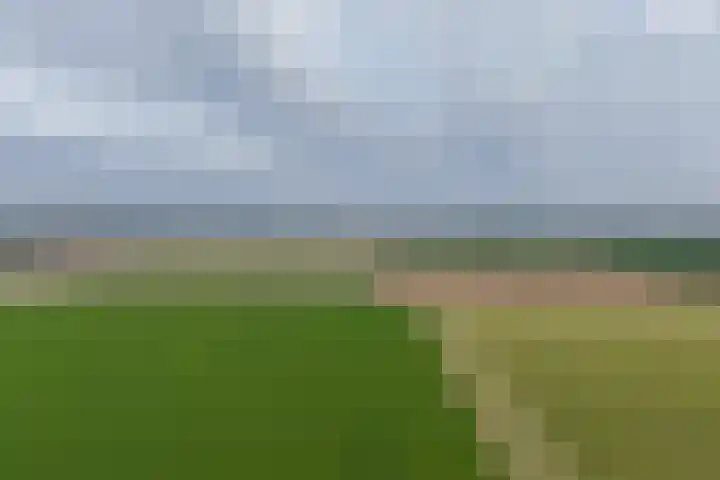 Texelstroom 33 Wieringerwerf thumbnail 30