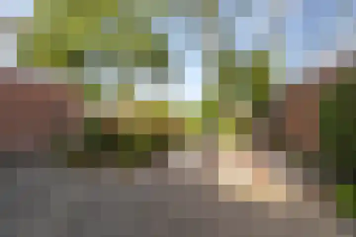 Texelstroom 33 Wieringerwerf thumbnail 4