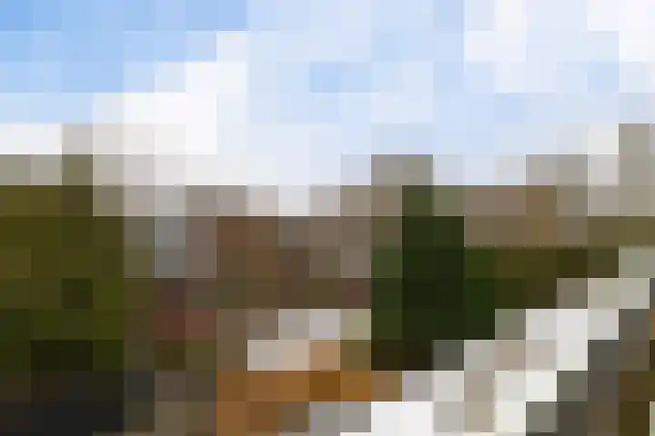 Texelstroom 43 Lelystad thumbnail 24