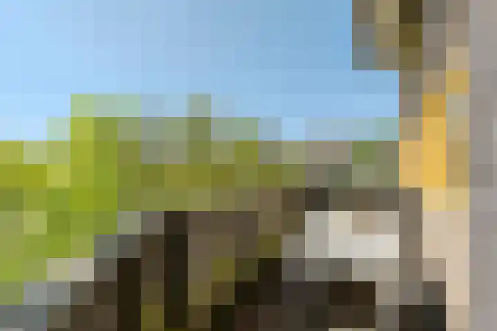 Teylingen 4 Lelystad thumbnail 37