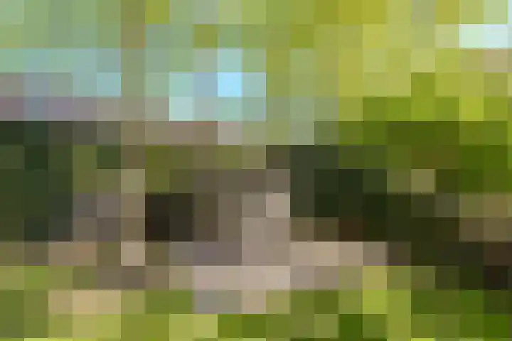 Teylingen 4 Lelystad thumbnail 68