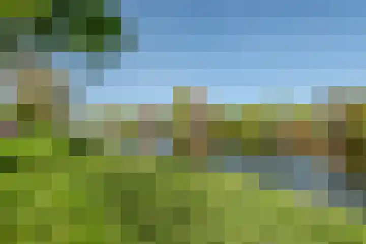 Teylingen 4 Lelystad thumbnail 73