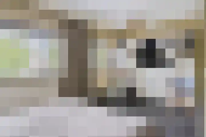 Thailandring 14 Drunen thumbnail 17