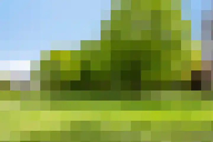 Thailandring 14 Drunen thumbnail 34