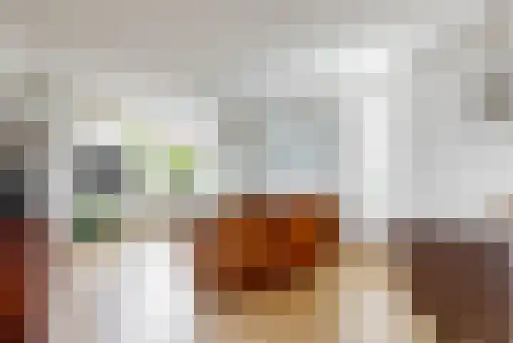 Thalia 13 Limmen thumbnail 12