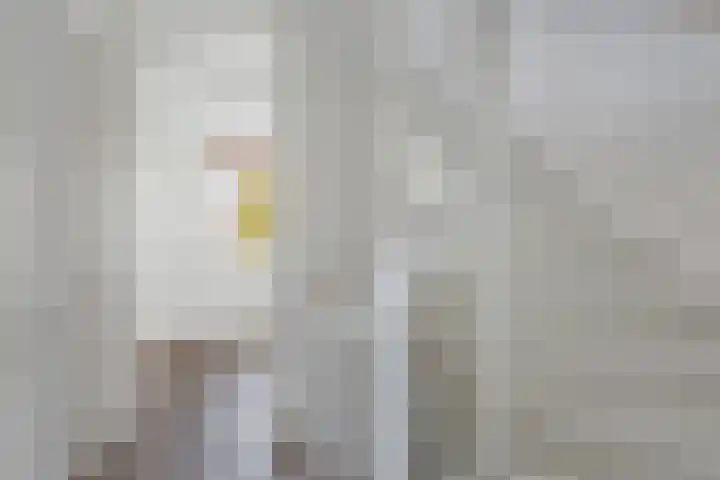 Thaliastraat 201 Arnhem thumbnail 32