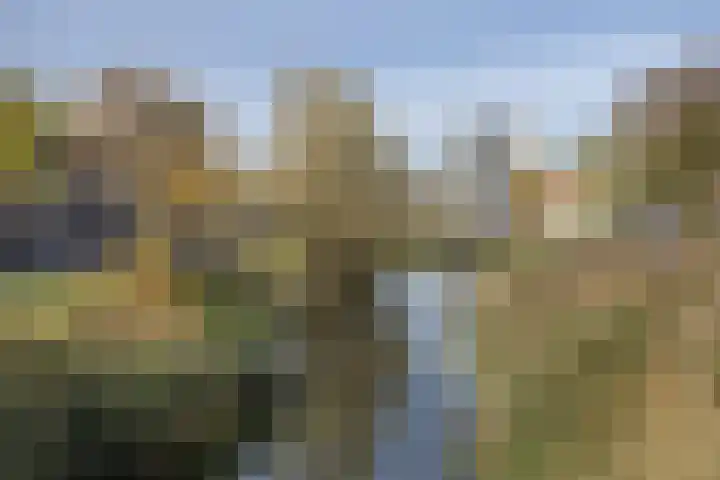 Thaliastraat 201 Arnhem thumbnail 4