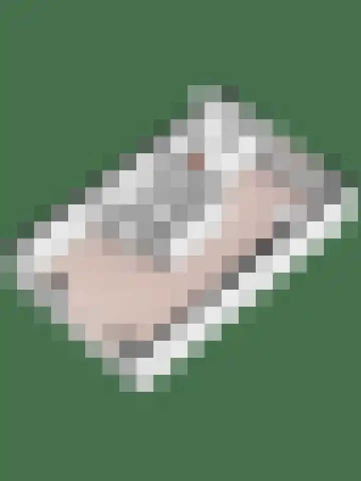 Thaliastraat 201 Arnhem thumbnail 42