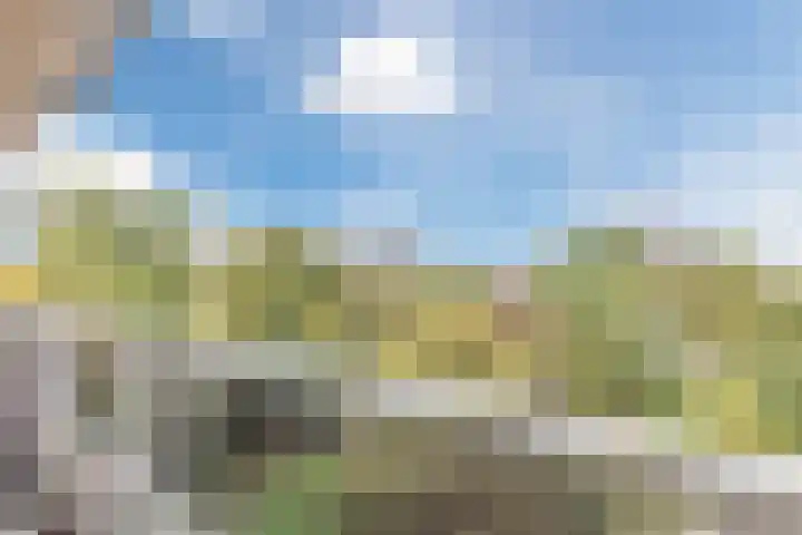 Thamerhorn 41 Uithoorn thumbnail 26