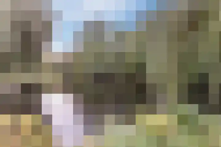 Thamerhorn 41 Uithoorn thumbnail 33