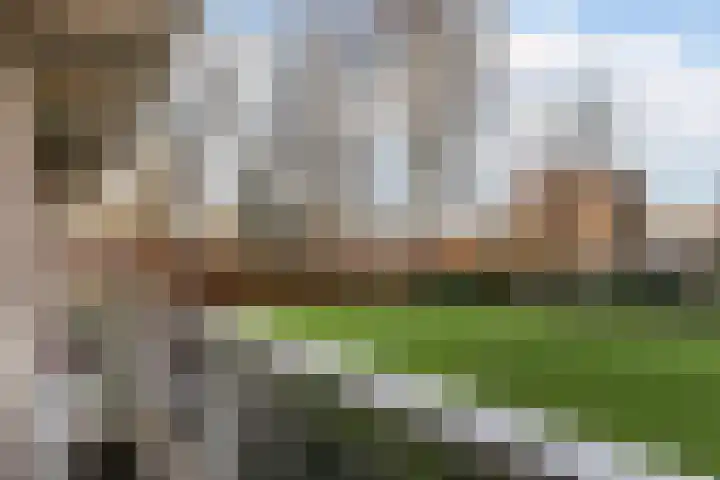 Thamerhorn 5 Uithoorn thumbnail 26