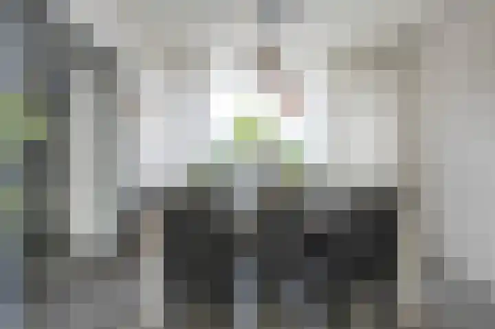 Thedingecamp 3 Emmen thumbnail 4