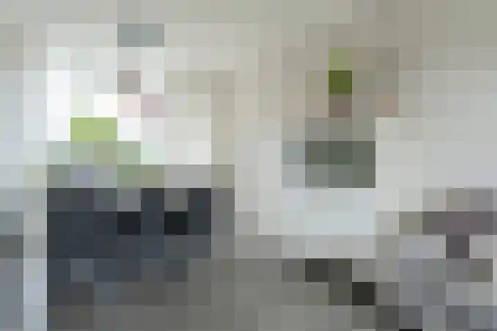 Thedingecamp 3 Emmen thumbnail 5