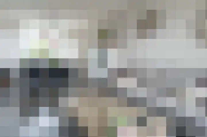 Thedingecamp 3 Emmen thumbnail 8