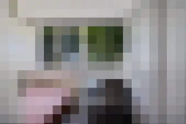 Thedingecamp 47 Emmen thumbnail 18