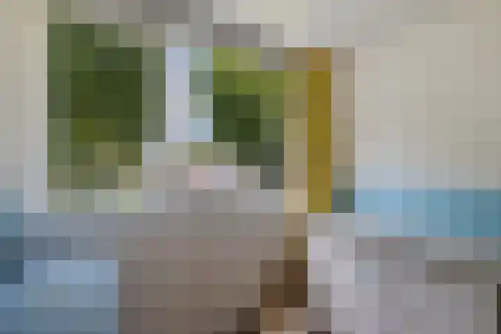 Thedingecamp 47 Emmen thumbnail 19