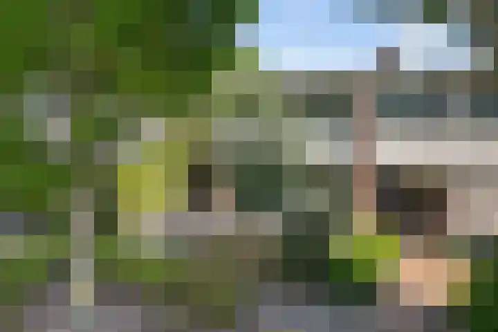 Thedingecamp 47 Emmen thumbnail 21