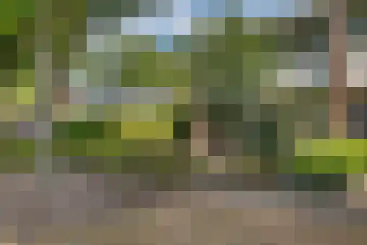 Thedingecamp 47 Emmen thumbnail 24