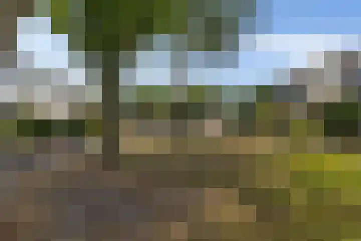 Thedingecamp 47 Emmen thumbnail 25