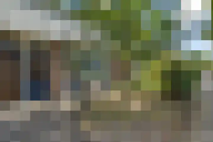 Thedingecamp 47 Emmen thumbnail 26