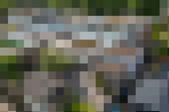 Thedingecamp 47 Emmen thumbnail 27