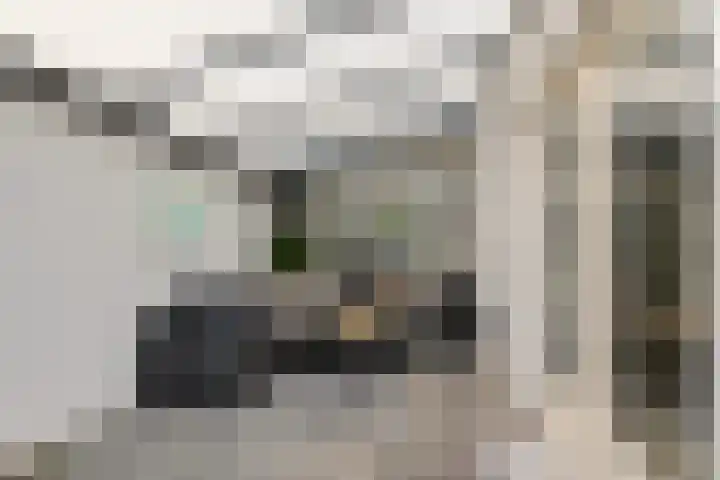 Thedingecamp 47 Emmen thumbnail 31