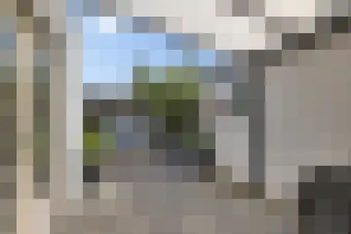 Thedingecamp 47 Emmen thumbnail 33