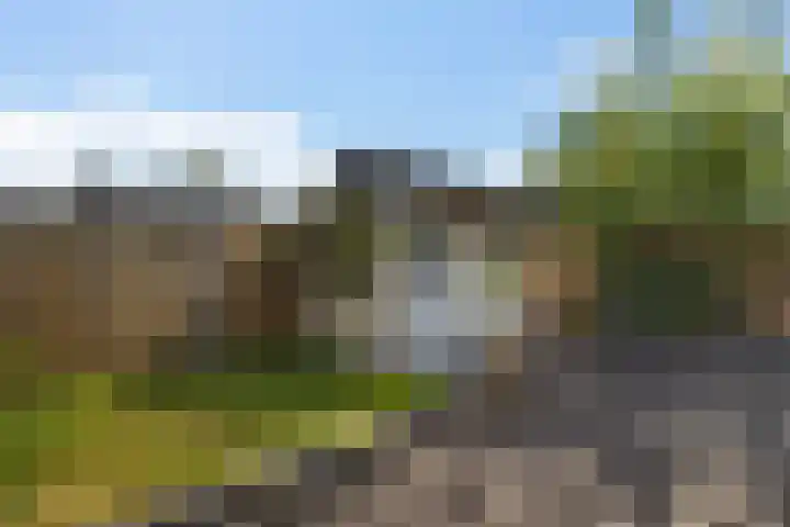 Thedingecamp 47 Emmen thumbnail 35