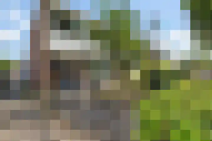 Thedingecamp 47 Emmen thumbnail 39