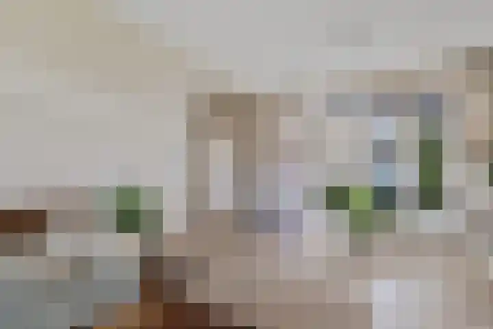 Thedingecamp 47 Emmen thumbnail 4