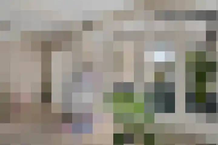 Thedingecamp 47 Emmen thumbnail 5