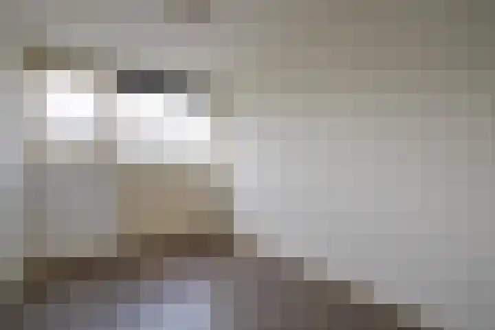 Theemsdreef 432 Utrecht thumbnail 15
