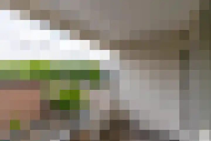 Theemsdreef 432 Utrecht thumbnail 21