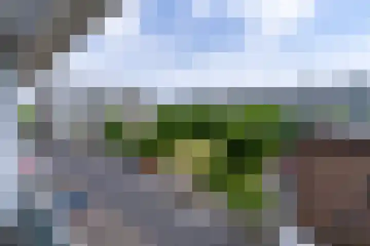 Theemsdreef 432 Utrecht thumbnail 22