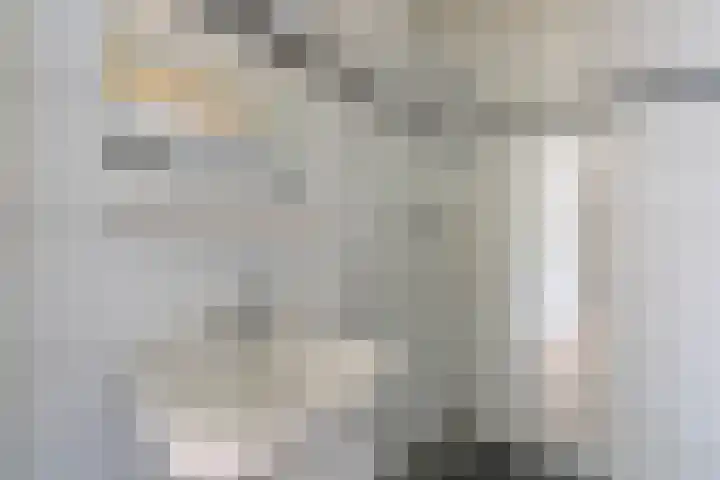 Theemsdreef 432 Utrecht thumbnail 24