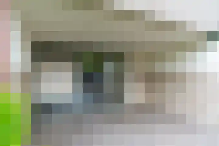 Theemsdreef 432 Utrecht thumbnail 26