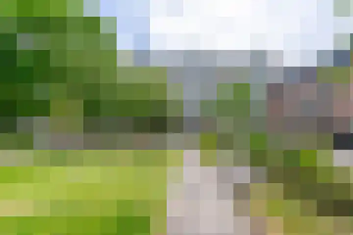 Theemsdreef 432 Utrecht thumbnail 30