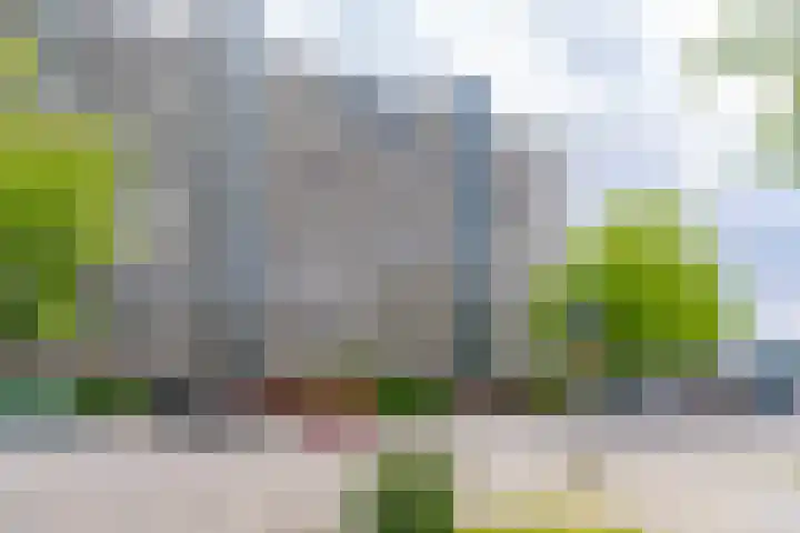 Theemsdreef 432 Utrecht thumbnail 40