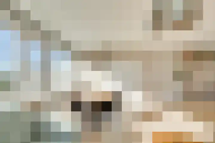 Theemsdreef 438 Utrecht thumbnail 15