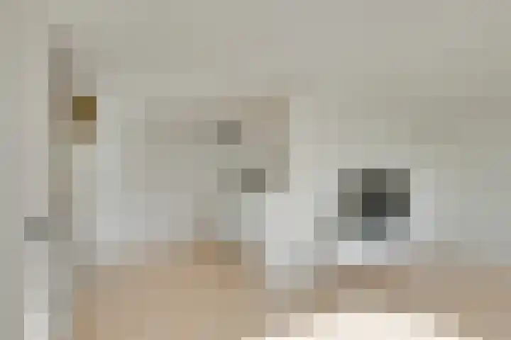 Theemsdreef 438 Utrecht thumbnail 16